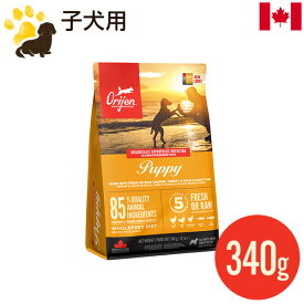 オリジン パピー 340g (正規品) ドッグフード 幼犬用 子犬用 穀物不使用 総合栄養食 カナダ産 お試し 賞味期限2025.2.3