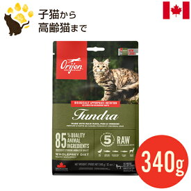 オリジン ツンドラ キャット 340g (正規品) 全年齢用 キャットフード お試し 賞味期限2025.1.25