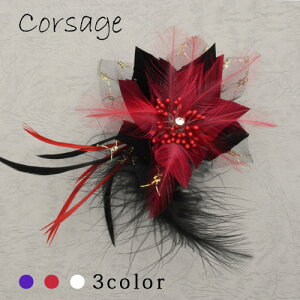 Jtt[RT[WiRX`[WG[/p[eB[/Ă΂/Ǝ/j