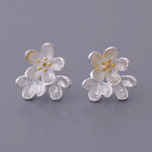 sAX@킢ԁ@t[@@@fB[XANZT[@AM[@jbPt[