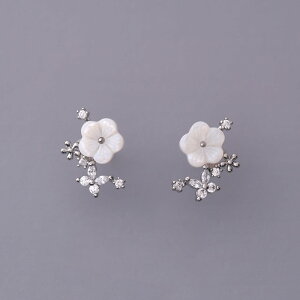 sAX@ԁ@@Vo[@ @  i 킢 ANZT[  p[eB[