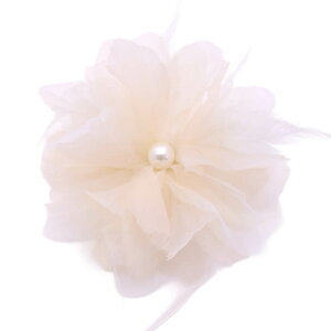 RT[W u[` tH[} _A  Ǝ  w  p[ _A  X[c