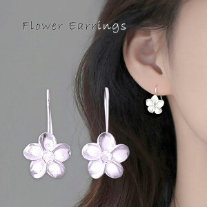 sAX vA nCAWG[ t[  Vo[ AM[Ή jbPt[