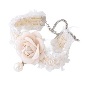 L  RT[W p[ [X 21`30cm Lp Lp L