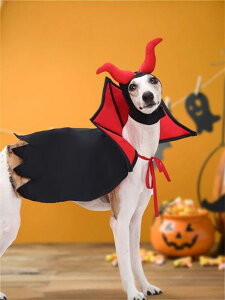  Halloween ybg RXv  }g nEB p[eB[ ߑ    ^ ^ ^ t`X^C ÂĂ₩ g ANZT[ t[TCY 