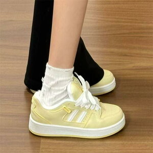 Xj[J[ fB[X  [Jbg JWA V[Y w ʊw s N[~[CG[ 킢 ₷ ~ y ϖ [XAbv PU l  ꂢ t 