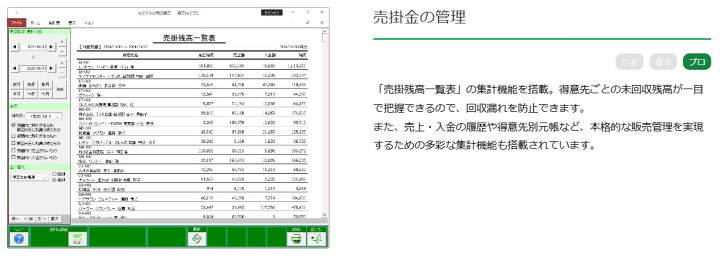 楽天市場】販売らくだプロ25 BSL 【送料無料】 インボイス対応 帳票 