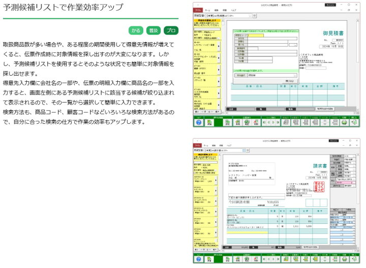 楽天市場】販売らくだプロ25 BSL 【送料無料】 インボイス対応 帳票  