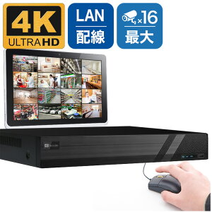 PoEp 800f hƃJ őڑ16p ^@ X}z DVR ^摕u i \ 2TBn[hfBXN hƗp^@yiPadAiPhoneAAndroidĎzPOE-8M16C
