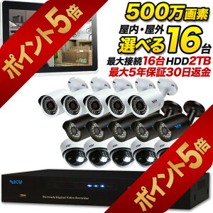 yyV|Cg5{I12/11܂ŁzhƃJZbg ^ O  ĎJ 16Ƙ^摕uZbg 500f ԏr炵 ԎBe Oobg h[^ Î Lp H r 