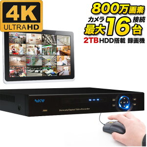 hƃJp ^@ 4K 800f hƃJ ő16܂Őڑ\ DVR ^摕u i \ 2TBn[hfBXN hƗp^@yiPadAiPhoneAAndroidĎzSKY-8M16C-2T