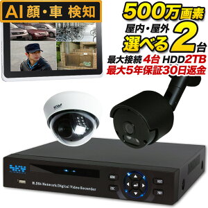 AI hƃJ }CN W 500f hƃJ/ĎJ /OI 500f 2Ƙ^摕uZbg Ԃ͐ԊOBe SET-450S-2 SONY AiO