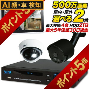 yyV|Cg5{I9/30܂ŁzAI hƃJ }CN W 500f hƃJ/ĎJ /OI 500f 2Ƙ^摕uZbg Ԃ͐ԊOBe SET-450S-2 SONY Ai