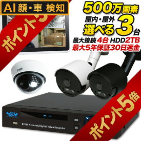 【今だけ楽天ポイント5倍！3月29日18時まで】SONY 防犯カメラ マイク内蔵 集音 防犯カメラ/監視カメラ 屋内/屋外を選択 500万画素 3台と録画装置セット 夜間は赤外線撮影 SET-450S-3 SONY アナログ