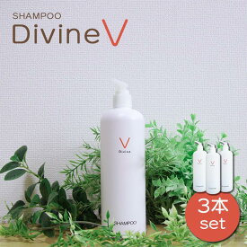 《抜け毛 ふけ かゆみ 頭皮ケアに》ディバイン ナノ シャンプーV500ml × 3本セット｜ ノンシリコンシャンプー オーガニックシャンプー スカルプシャンプー クレンジングシャンプー シャンプー 美容室専売 頭 かゆい かゆみ ふけ フケ 抜け毛 乾燥 敏感肌 頭皮 ノンシリコン