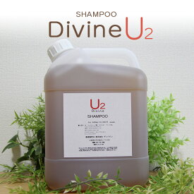 《抜け毛 ふけ かゆみ 頭皮ケアに》ディバイン ナノ シャンプー U2 4000ml｜ ノンシリコンシャンプー オーガニックシャンプー スカルプシャンプー クレンジングシャンプー シャンプー 美容室専売 頭 かゆい かゆみ ふけ フケ 抜け毛 乾燥 地肌 敏感肌 頭皮 ノンシリコン
