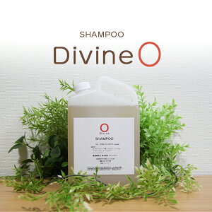 s ӂ  PAɁtfBoC im Vv[ O 1000mlb mVRVv[ I[KjbNVv[ XJvVv[ NWOVv[ Vv[ e