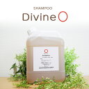 《抜け毛 ふけ かゆみ 頭皮ケアに》ディバイン ナノ シャンプー О 4000ml｜ ノンシリコンシャンプー オーガニックシャンプー スカルプシャンプー クレンジングシャンプー シャンプー 美容室専売 頭 かゆい かゆみ ふけ フケ 抜け毛 乾燥 地肌 敏感肌 頭皮 ノンシリコン