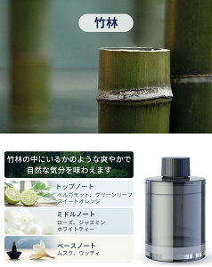 _Ԍ500~N[|^CEENIU 2025ŐV yKiz  L A}fBt[U[ ͋CCgE6eʁEON/OFF CF3  ԗpF gC  p Car Fragrance J[tO
