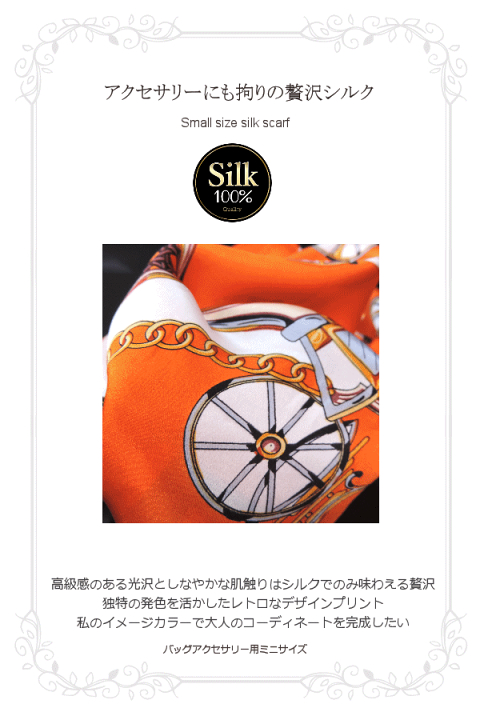 楽天市場】【営業日のみ出荷】【メール便配送のみ】シルク