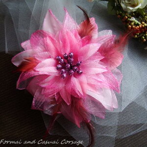 {̓|Cg5{f[I RT[W p[eB[     ԏ  sN z 1 lCzz NX}X