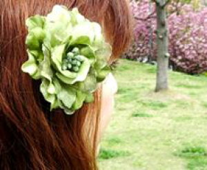 {̓|Cg5{f[I tH[} RT[W  q p[ i  }}  1 lC NX}X