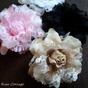 {̓|Cg5{f[I RT[W  tH[} q i  }}  lC NX}X