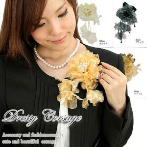 {̓|Cg5{f[I tH[} RT[W  tH[} q i    Ă΂ p[eB  NX}X