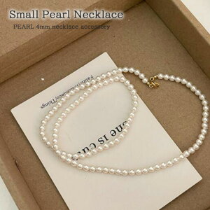 1A  p[ lbNX  Vv  4mm Ǝ w   EFfBO p[eB[ ANZT[ i T Ђ   Vv p[lbNX I