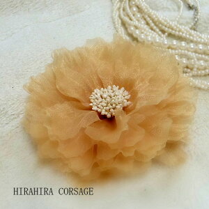 ubNtCf[10{I RT[W Ǝ w    tH[} x[W  wANbvt RT[W u[` t[  ANZT[