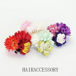 {̓|Cg5{f[I   ܂  ܎O a l   킢 wAANZT[ a   753    Nbv wANbv  NX}X