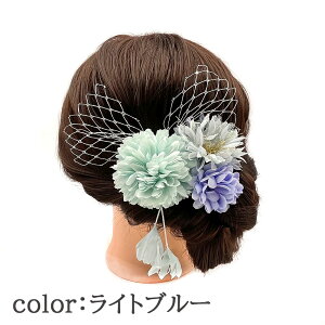 {͔z50%OFFI   4_ Zbg ܎O l a m  V[xbg  J[  3 7 753 ̎q O  q l [X { fUC p[eB[ 