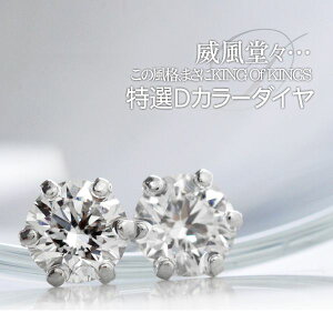 _Ch sAX fB[X DJ[ 0.5ctup v`i 6{ ꗱsAX fB[X Ό Ӓ菑t