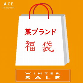 【100個限定販売】某ブランド福袋（秋冬）　4枚入り　M　L　コート　アウター　秋　冬　　ブラウス　シャツ　カットソー　ワンピース　スカート　パンツ　Tシャツ　服　福袋　2024　豪華福袋　レディース