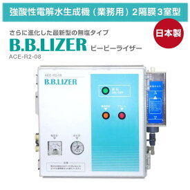 楽天市場 強酸性水 アトピーの通販
