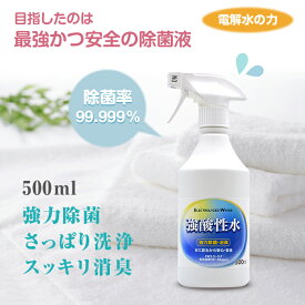 楽天市場 靴 殺菌 スプレーの通販