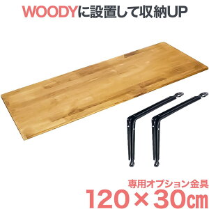 テレビ 壁掛け 金具 賃貸 壁掛金具 壁掛けテレビ テレビ金具 送料無料 WOODY専用 棚板 オプション WDY-R12