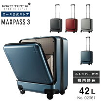 楽天市場】エース プロテカ マックスパス h2sの通販