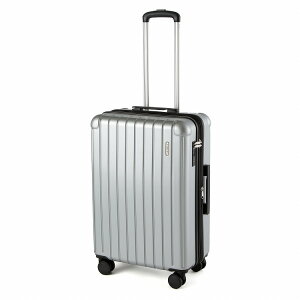 yG[Xz RIMINI/~j t~jA X[cP[X L[P[X 5-7 51-63L 4kg GLXp_u mTCY 05122