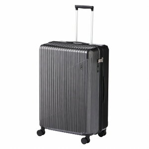 �y�G�[�X�����z �X�[�c�P�[�X �n�[�h�P�[�X L�T�C�Y �X�g�b�p�[ �L�����[�P�[�X �L�����[�o�b�O �_�C�������b�N ACE �G�[�X �N���X�^2 85L ���������� �V���v�� ���s �o�� �r�W�l�X �C�O���s 