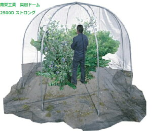 hHƁ@ʎh[ 2500D XgOylւ̔zBɂȂ܂BzyiGC@؉nEX@K[fjO@h@h@悯@ƒ؉z