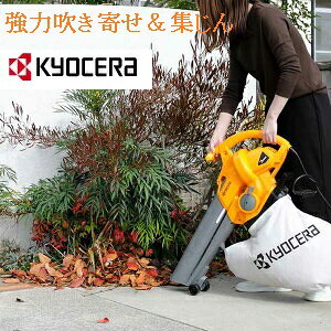 Z@RYOBIi[rjuoL[ RESV-1000Ay[r RYOBI @du[@u@u[ z05P03Dec16