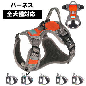  n[lX   t ^ ^ ^ Č Xebvn[lX EFAn[lX p p  nht p Vp n[lX ybgpi 