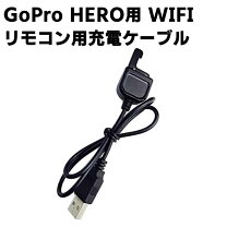 楽天市場】gopro ケーブル hero3＋の通販