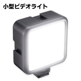 ビデオライト 小型 49 LED 撮影ライト 2100mAh USB充電式 ソフト光 超高輝度 明るい白色光 光度調節 コールドシューマウント付き カメラライト iPhone Samsung Canon Nikon Sony Smooth 4 DJI OSMO Mobile 3