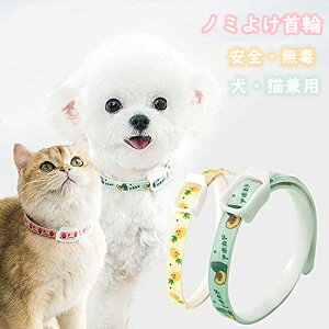 ybgp 悯 2Zbg m~   Ꮬ΍ VRn[u Ꮬ t  ې􂢉\ Lp tȒP SI  