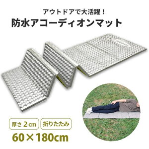 W[V[g ܂肽݃NbV ܂肽 }bg  唻 hЃObY Ԓ 60×180cm ܂ RpNg ֕ h A~}bg Lv 2cm y |[^uNbV 