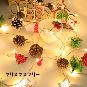 NX}X LEDC~l[VCg 2m 3m led 20 30dr O  C~l[V ڂ x K[hCg  x_ c[ k 킢 