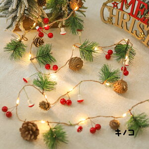 NX}X LEDC~l[VCg 2m 3m led 20 30dr O  C~l[V ڂ x K[hCg  x_ c[ k 킢 