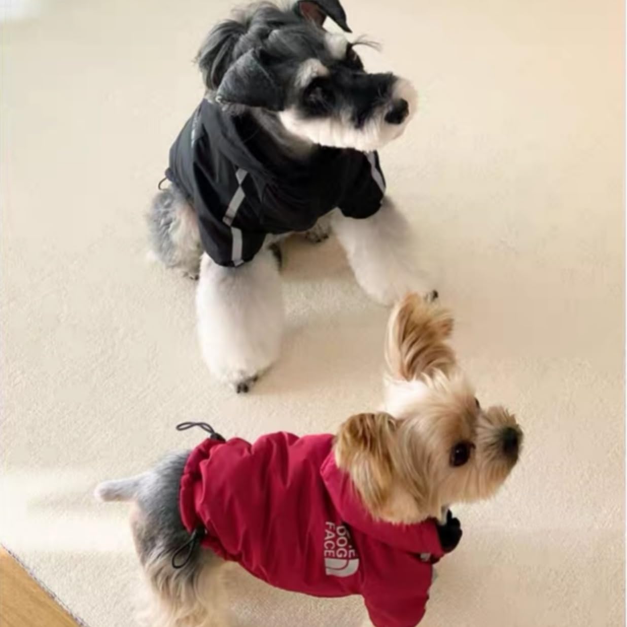 楽天市場】犬 服 犬の服 パーカー ペットウェア 小型犬 服ペット服 犬
